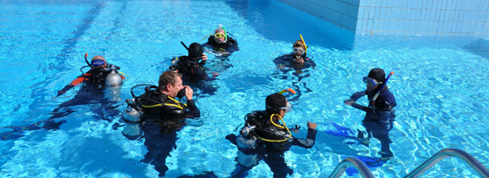 Impara ad immergerti! <br /> Corso Open Water Diver + Hotel's photo